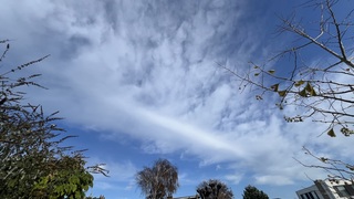 Pilotenstreep of speling van de natuur