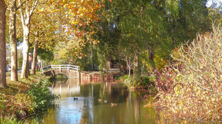 Herfstkleuren in Hei-en Boeicop