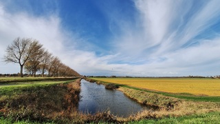 Zon, sluierbewolking en wind