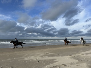 Wijk aan Zee