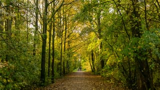 Boswandeling in Heerhugowaard