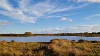 Herfstwandeling in Drenthe 