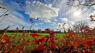 Herfstkleuren, in een zonnig en half bewolkt Terborg vanmiddag