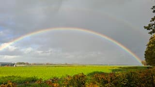 Regenboog