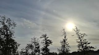 Halo