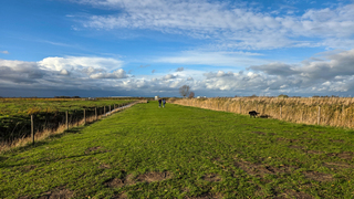 Vriendelijke bewolking om 15.00 uur 