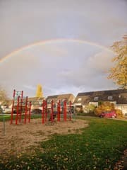 Regenboog