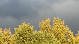 Donkere wolken en zon 