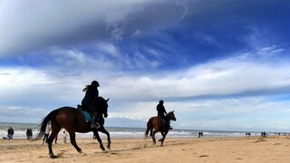 VÓOR DE BUIEN UIT ......
