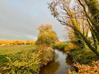 Herfstige zonsondergang