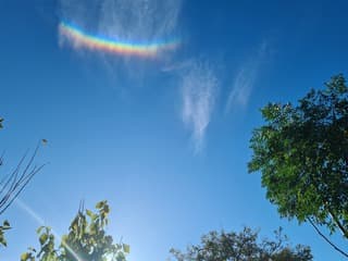 Regenboog Cambrils 3-11-2025