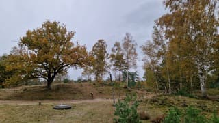 Herfstkleuren in Drenthe 