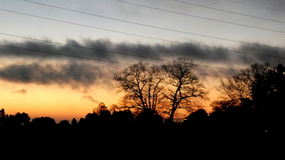 7.01u Vriendelijk  ochtendlicht.