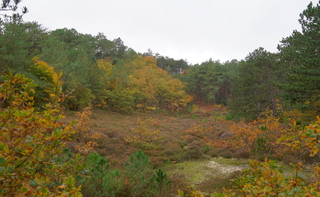 Bewolkt maar toch mooie kleuren