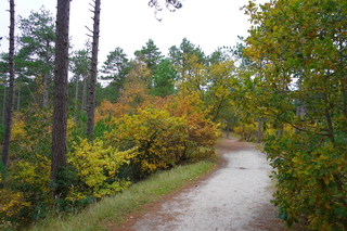 Bewolkt maar toch mooie kleuren
