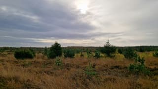 Pogingen van de zon boven het Drents-Friese Wold 