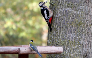 Gebroederlijk samen..
