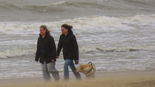 Mistig van stuifzand