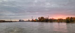 Komt ie wel of niet tevoorschijn 