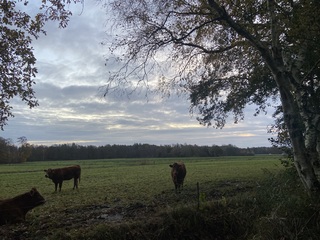 Wij staan hier best lekker