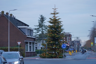 Boskoop zoekt het licht op