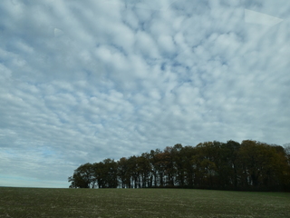 schaapjeswolken