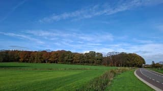 Herfst gekleurde bomen in een glooiend Barchem beging van de middag