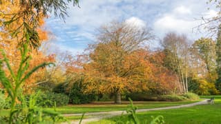 Blauw in de lucht en heel veel mooie herfstkleuren