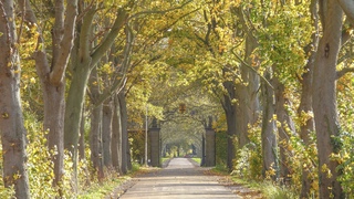 Zo mooi was het vanmorgen