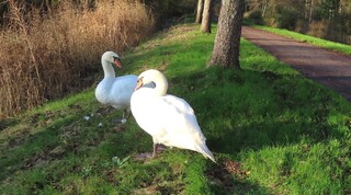 Als de zon vanmiddag doorbrak, even in de zon!