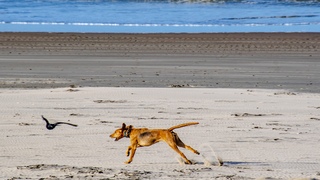 ZON WIND EN BLAUWE LUCHT