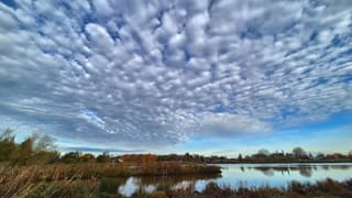 Een plaatje dit natuurgebied 