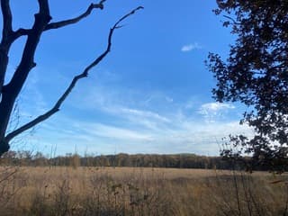 Mooi wandelweer vandaag!