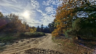 Heerlijk warm weer met zonnetje erbij bij het bos in Weert vanochtend