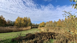 Natuurparkje in Leusden, mooie herfstkleuren vandaag de bomen en zonnig, warm en bewolking