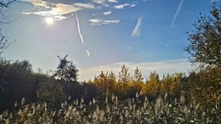 Mooie en warme herfstweer vandaag 5-11-2025!