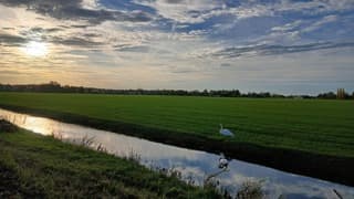 Onderweg naar morgen