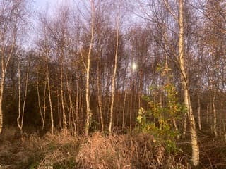 Supermaan is er nog bij