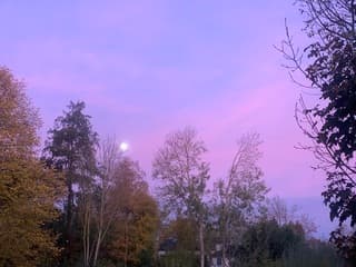 60 tinten paars met maan