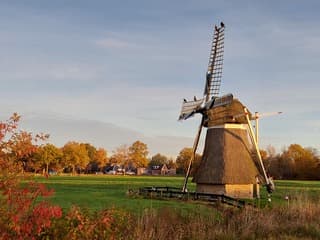Zonnen op de molen..