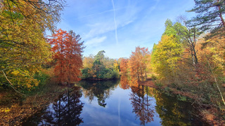 Zon en herfstkleuren