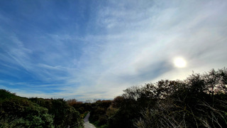 lichte sluierbewolking. 