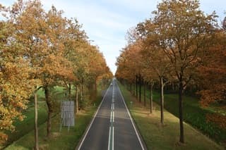 Herfstkleuren in Hellum