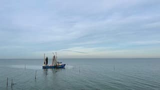 Mooie zachte kleuren