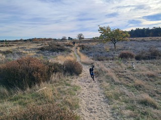 Loonse en Drunense duinen
