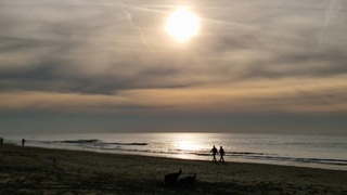 Zon en sluierwolken boven zee 