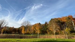 Zonnige zachte herfstdag 