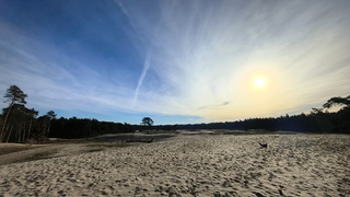 Zon in de Sahara