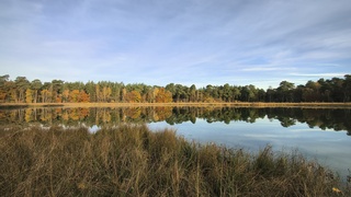 Herfstweerspiegelingen