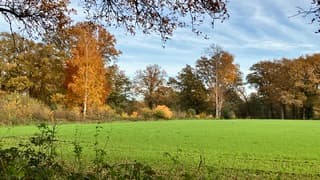 Kleurig doorkijkje Eerder Achterbroek natuurgebied (Ov.)